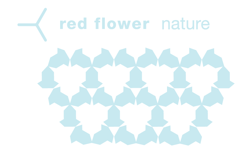 nature_logo-14