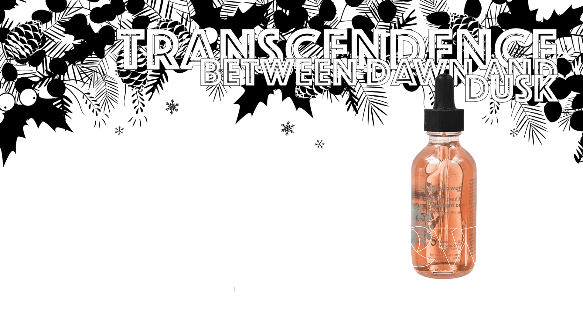 transcendence_between_dawn_and_dusk-header-04F2-04