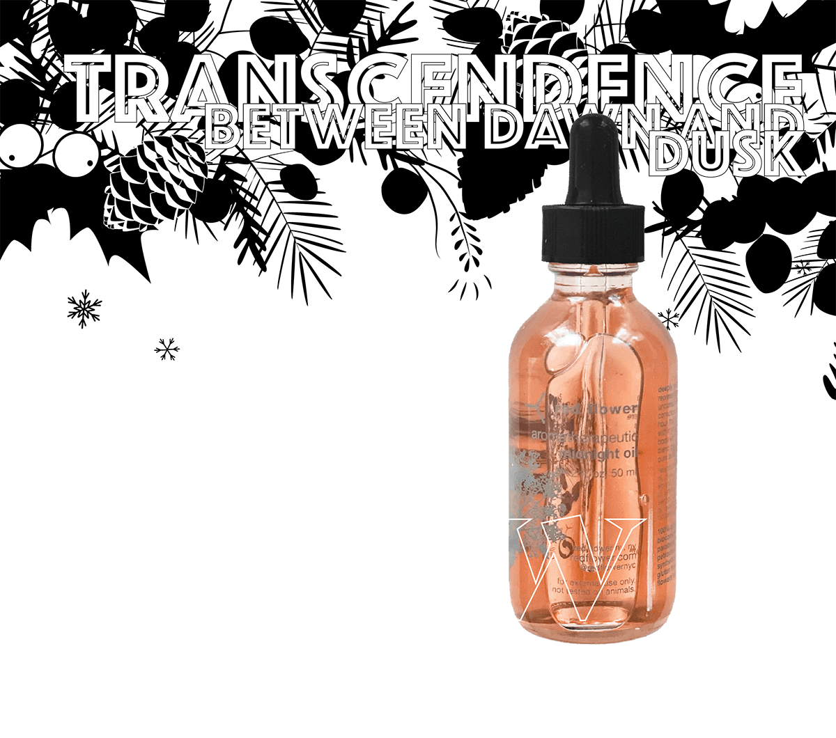 transcendence_between_dawn_and_dusk-header-04FM-27