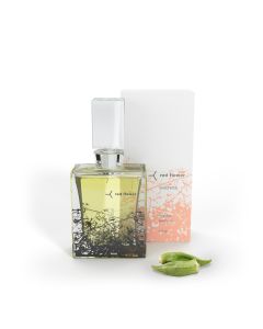 15ml ambrette organic perfume